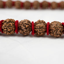 Load image into Gallery viewer, Beads of Rudraksha Kantha Padded Mala
