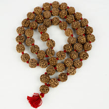 Load image into Gallery viewer, Rudraksha Kantha Knotted Mala
