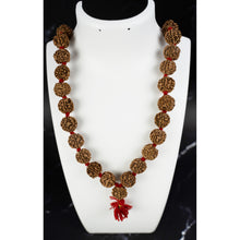 Load image into Gallery viewer, Rudraksha Kantha Knotted Beads
